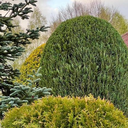 Dom Nad Jeziorem,Opcja Balii,Duzy Ogrodzony Ogrod, Idealne Mieksce Na Grzyby,Wedrowki,Kaszuby Nowe Czaple Nowe Czaple  Exteriér fotografie